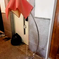 آباژور ایستاده