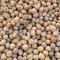 گردو بومی سامان پر چرب و سفید|عمدهفروشی|اصفهان, جاوان|دیوار