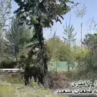 باغ-داخل-طرح-قطعات-مختلف