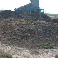 کود گوسفندی وگاوی|خدمات باغبانی و درختکاری|قائمشهر, |دیوار