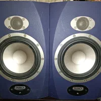 اسپیکر مانیتورینگ Tannoy