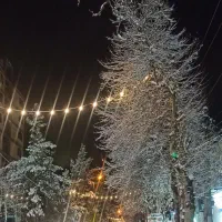 کارت هدیه ۸۰۰