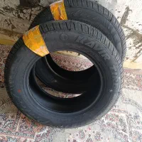 دو حلقه لاستیک کویر خشک ۱۴