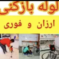 فنرزن هاشمی طوس هوشیارخوش رودکی نواب کارون خوش