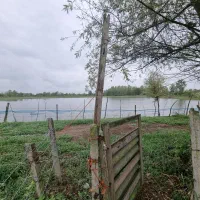 فروش استخر ماهی ۳/۵ هکتار و خانه ورزشگاه سردارجنگل|فروش دفتر صنعتی، کشاورزی، تجاری|رشت, لاکان|دیوار
