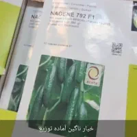 فروش بذر|خدمات باغبانی و درختکاری|شیراز, دلجو|دیوار