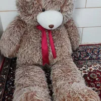 خرس قشنگ وزیبا