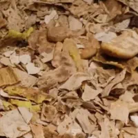 نان خشک تمیز و مرتب