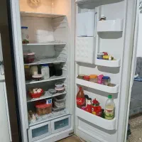 یخچال دو قلو