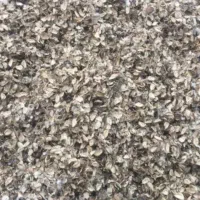 زیرچین پنبه  ،تفاله