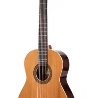 گیتار آلتامیراN100 همراه با هارد کیس اصلی خودش