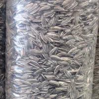 تخمه کانادایی درجه یک تن ماهی کلوچه قیمت خوب