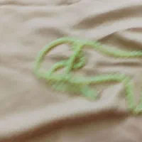 تسبیح شب نما