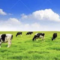 شراکت-در-کسب-و-کار