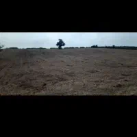 فروش زمین در شهرک صنعتی فاز یک|فروش زمین و ملک کلنگی|نکا, |دیوار