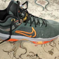 کتونی بسکتبال مدل Dj9431-301 nike|کیف، کفش، کمربند|تهران, آجودانیه|دیوار