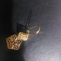 گوشواره گم شده