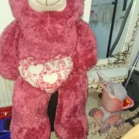 عروسک.شاخصین.خرس