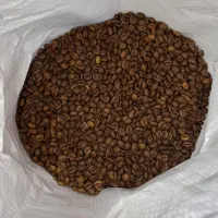 فروش دان قهوه به قیمت کارخانه