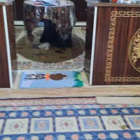 فروش خانه همکف ویلایی