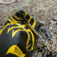 نی انبان|سازهای بادی|مشهد, تبادکان|دیوار