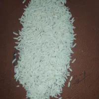 فروش برنج شیرودی درجه یک