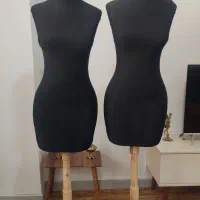 دو عدد مانکن