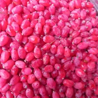 زرشک فقط امروزکیلویی 200|خوردنی و آشامیدنی|مشهد, شهرک بهارستان|دیوار