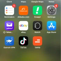استخدام پشتیبان سایت فضای مجازی و کمک حسابدار