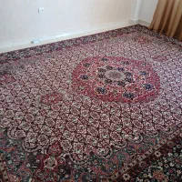 فرش|فرش|کرمانشاه, |دیوار
