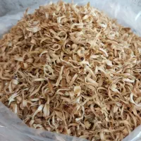 بهار نارنج شیراز امسالی