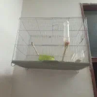 قفس ۲عدد|لوازم جانبی حیوانات|سوسنگرد, |دیوار