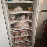 ...|یخچال و فریزر|شیراز, طلاب|دیوار