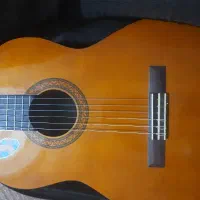 گیتار c40