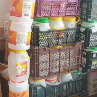 دبه خالی ماست ، ۱۰۰ عدد|ظروف نگهدارنده، پلاستیکی، یک‌بارمصرف|ابهر, |دیوار