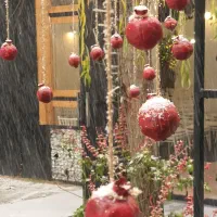 باغ تالار آجودانیه جشن event مراسم یادبود