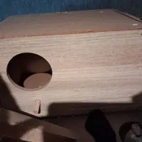 پرنده نرو ماده