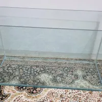 اکواریوم شیشه خم شرکتی ۱۰ میل نو