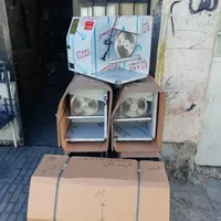 تکه کن مرغ/ مرغ خردکن رومیزی و ایستاده /خرد کن مرغ|ماشینآلات صنعتی|یاسوج, |دیوار