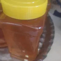 عسل گون طبیعی،،عالی|خوردنی و آشامیدنی|شاهین‌شهر, شهرک هشت بهشت|دیوار