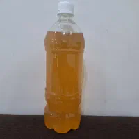 فروش کامبوجا درمان کبد چرب و درمان چاقی
