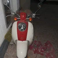 موتور پاکشتی هوندا نیاز ب تعمیر