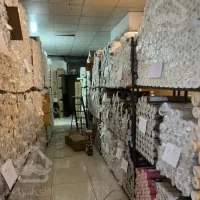 کاغذ دیواری|خدمات پیشه و مهارت|اردبیل, |دیوار