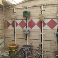 گلخانه مهندسی|گل و گیاه طبیعی|شیراز, کوی زهرا|دیوار