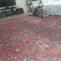 فرش دستباف ساروق اراک قدیمی|فرش|اصفهان, فیض|دیوار