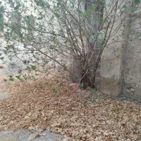راهنمایی میخواستم برای سرمایه‌گذاری