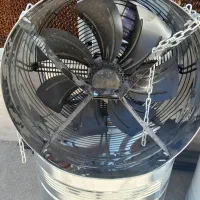 بخاری گلخانه|بخاری، هیتر، شومینه|اردبیل, |دیوار