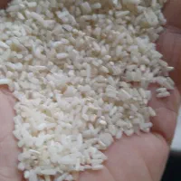 نیم دانه برنج
