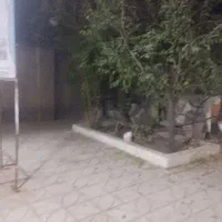اول خ پویش/ دربست وروردی مجزا/۳خواب/تخلیه|اجارهٔ خانه و ویلا|نیشابور, شهرک ولیعصر|دیوار