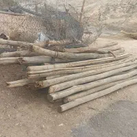 خرید تیرچوب چنار.اتاقی چوب سقفی ساختمانی.وضایعات|خدمات باغبانی و درختکاری|ماهیدشت, |دیوار